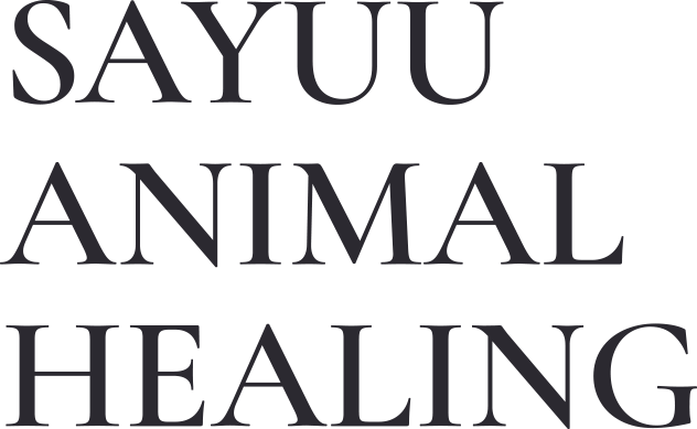 SAYUU ANIMAL HEALING